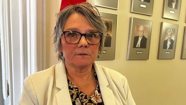 P.E.I. MLAs question province on how mental health campus will improve access to care