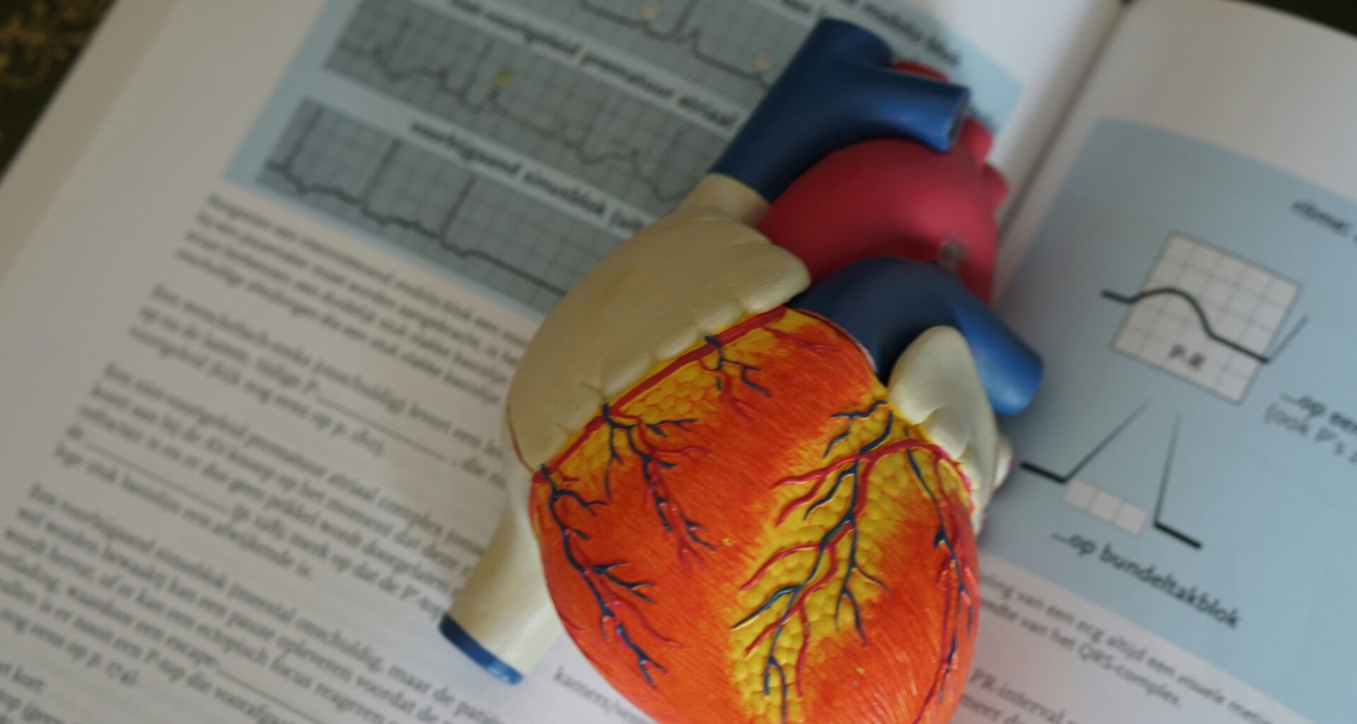 Taiwan's First Certified Heart Failure Center Opens