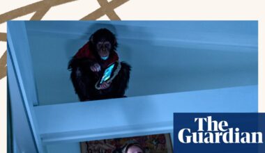 Primate to Tyler Ballgame: the week in rave reviews | Culture