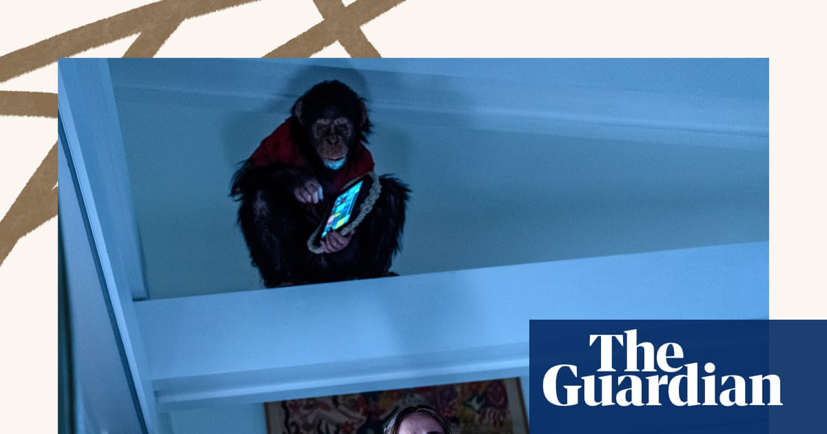 Primate to Tyler Ballgame: the week in rave reviews | Culture