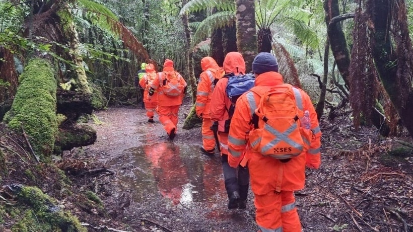 SES personnel wearing orange overalls search bushland.