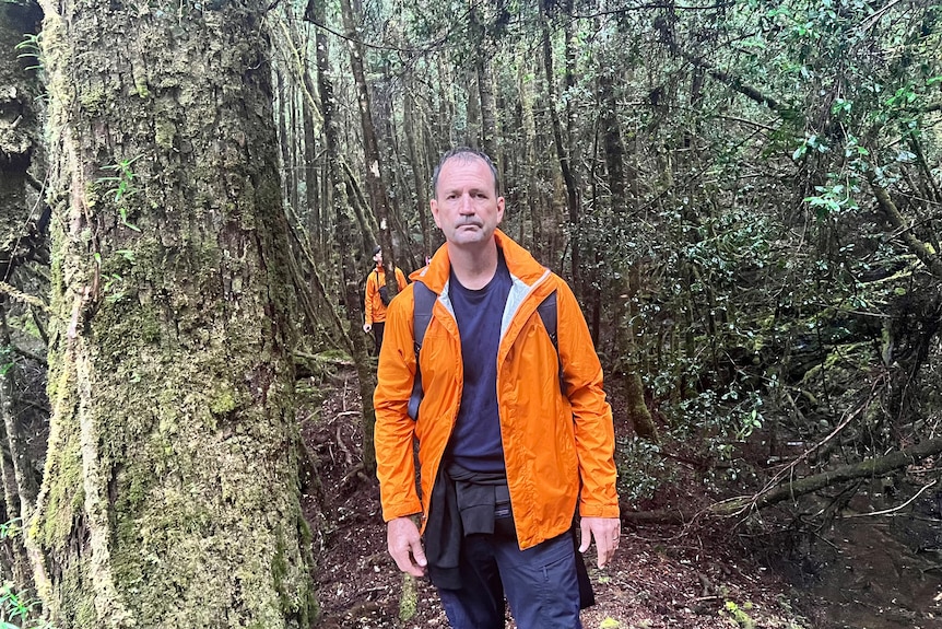 a man in an orange jacket is standing in forest looking at the camera