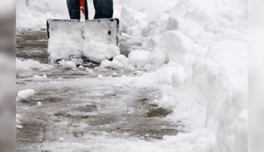 Man Shoveling Driveway Finds Huge Lizard Buried Under 20 Inches Of Snow