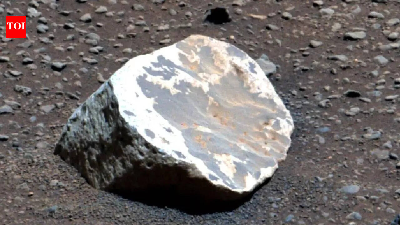 NASA’s Perseverance discovers white kaolinite rocks on Mars, revealing millions of years of rainfall and wet conditions |
