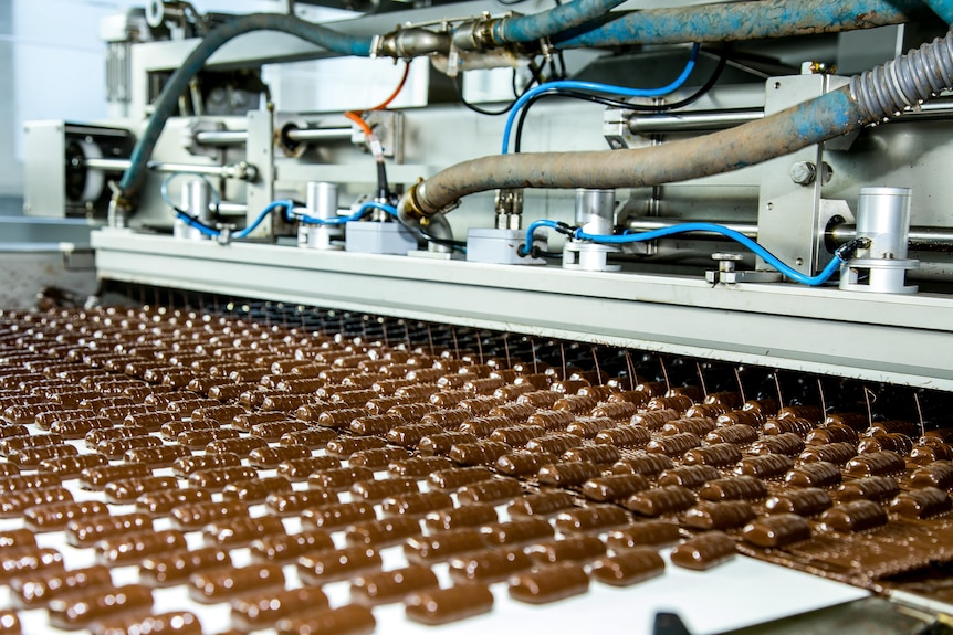 a chocolate making machine