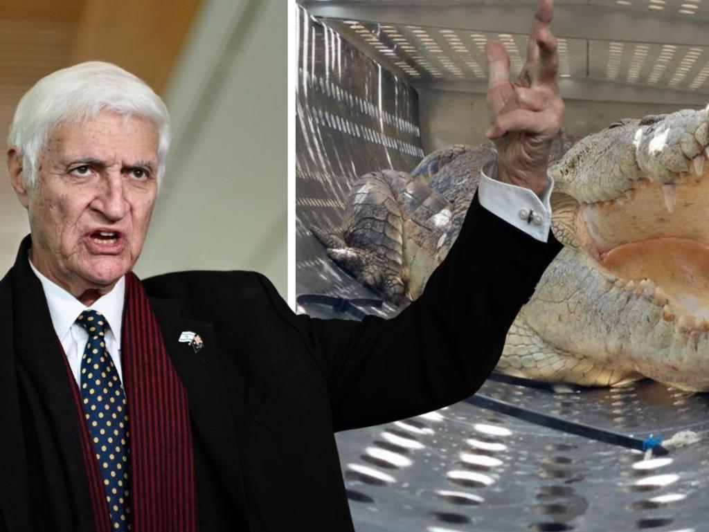 Man taken to hospital after crocodile attack - Townsville Bulletin