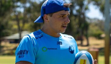 Hastie committed to Wallabies dream after Perth homecoming