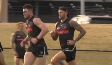 Kane Cornes rehashes theory on reason behind AFL ‘injury carnage’ during pre-season training