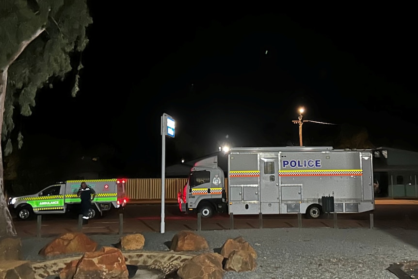 Police vehicles parked in yard