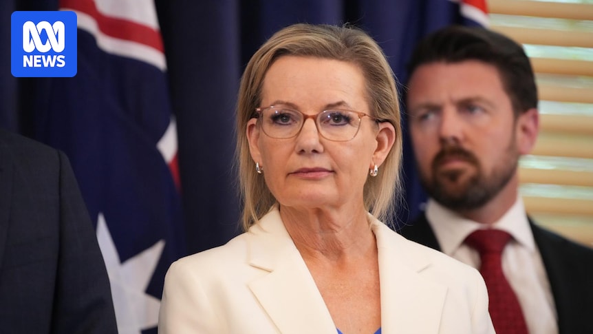 Liberals divided over Labor's plan to outlaw inciting racial hatred