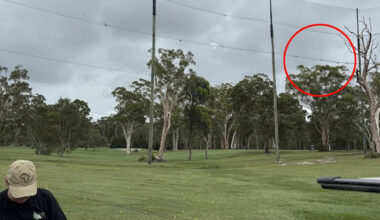 Dozens of animals killed by golf club's new installation: 'Died in front of us'