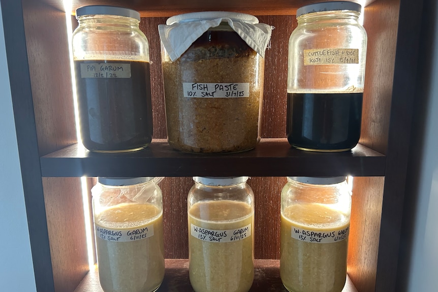 Six jars on two shelves.