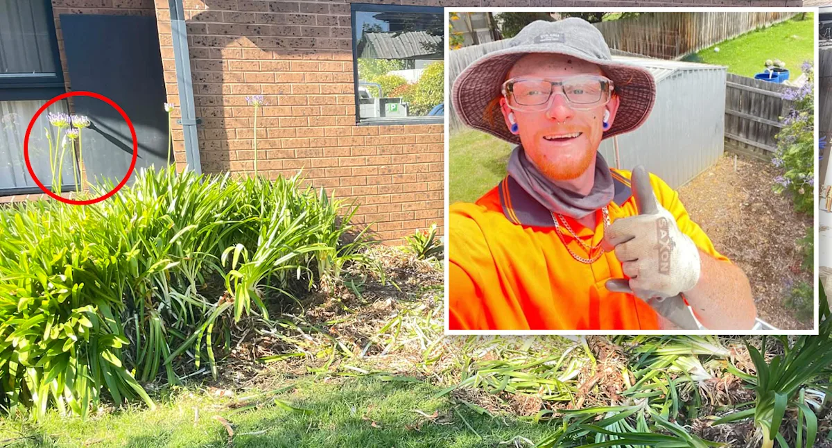 Tradie's 72-hour nightmare exposes brutal backyard pest plaguing Aussie homeowners