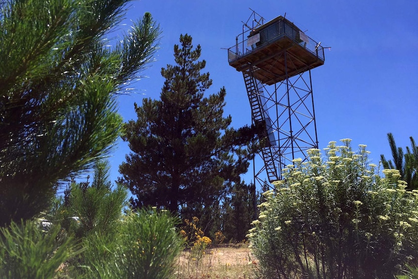 A fire tower at Kowan.