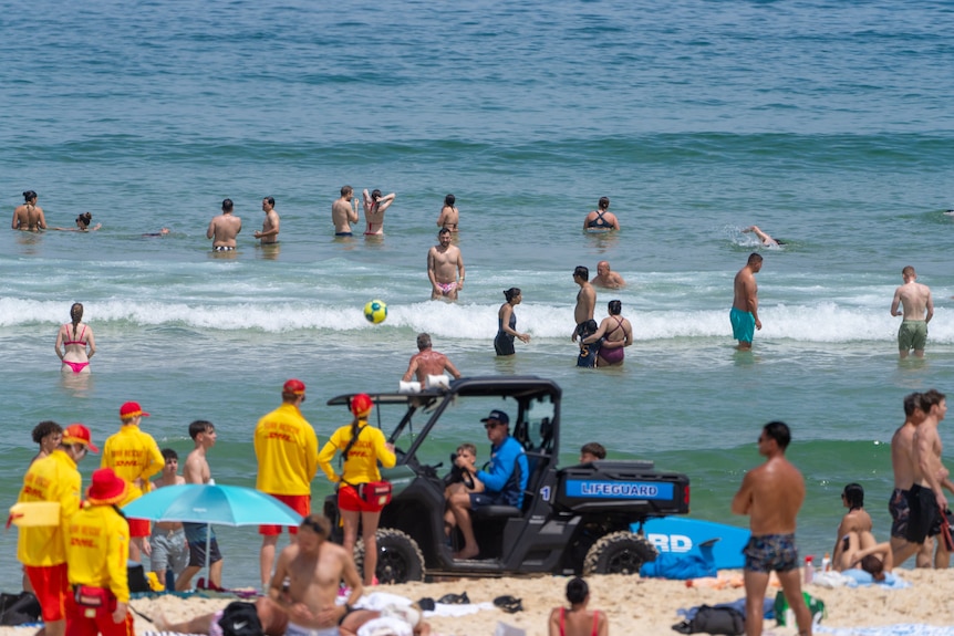 People and lifesavers on a beach.