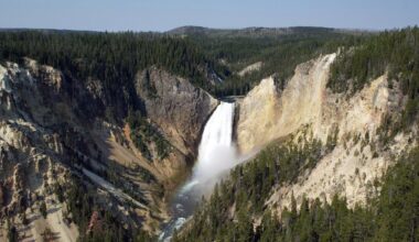 2025 was a 'typical' year in Yellowstone with 1,136 earthquakes