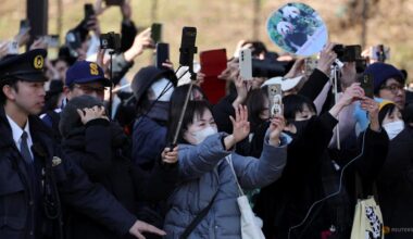 Japan's beloved last pandas leave for China as ties fray