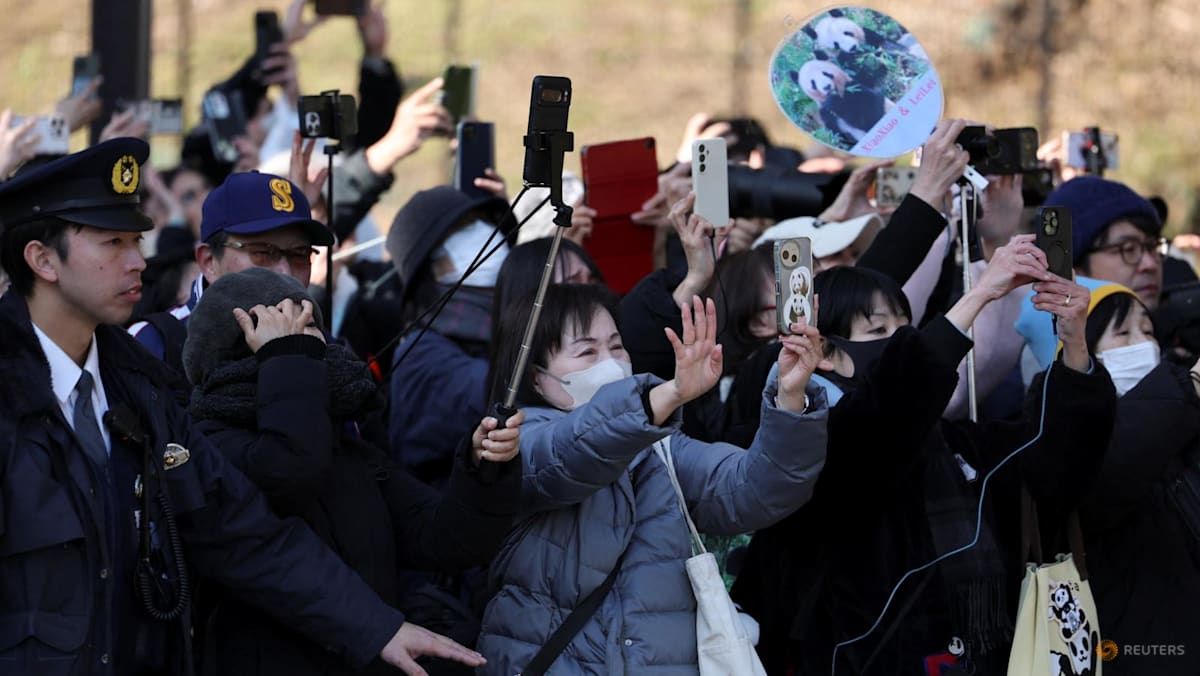 Japan's beloved last pandas leave for China as ties fray