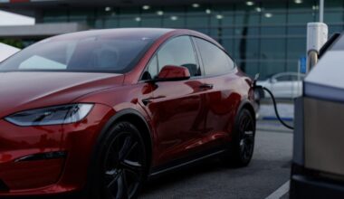 Elon Musk’s Tesla reports first-ever annual decline in revenue | Elon Musk
