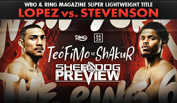 Teofimo Lopez vs. Shakur Stevenson