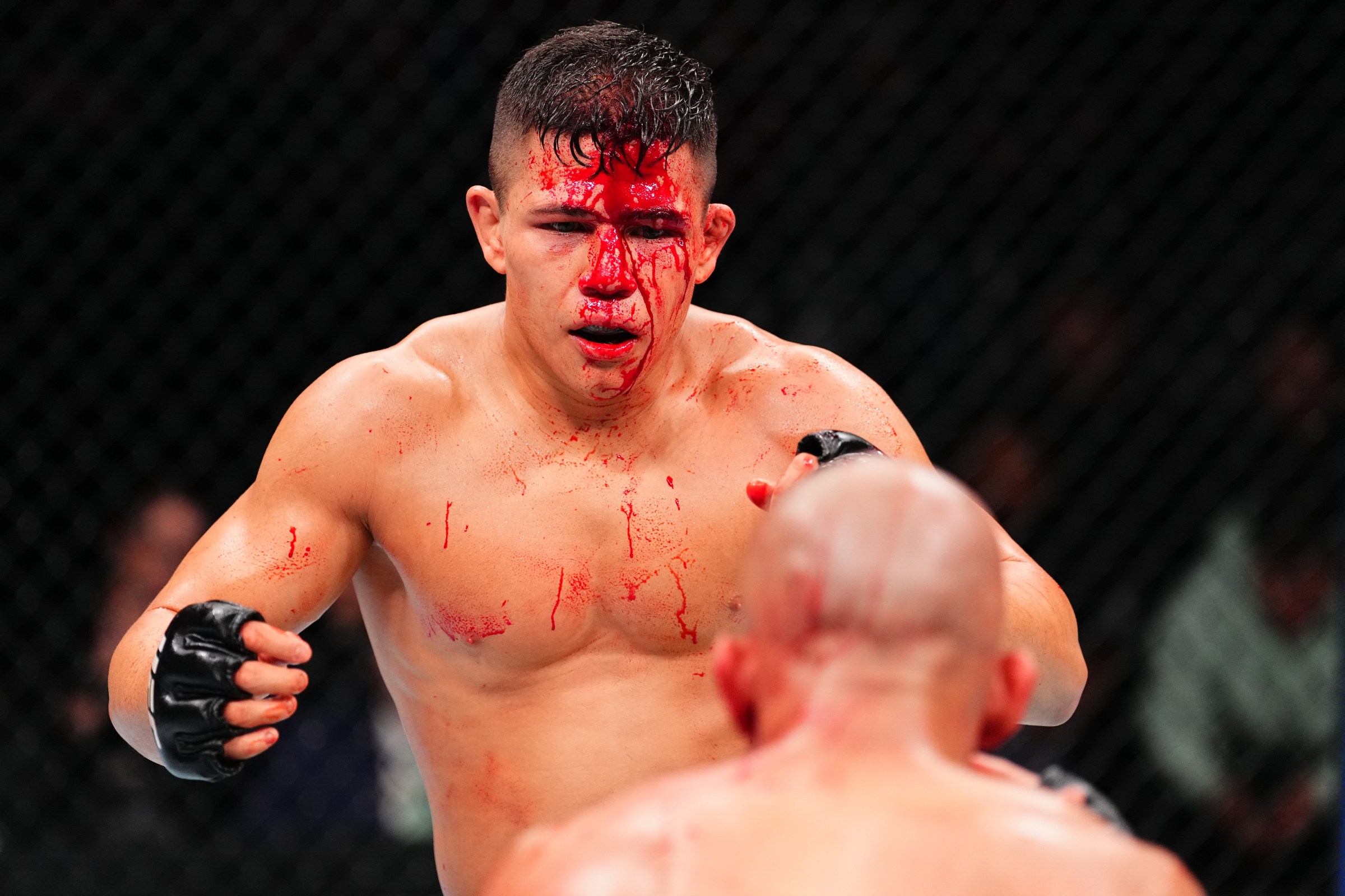 UFC Fight Night: Font v Matsumoto