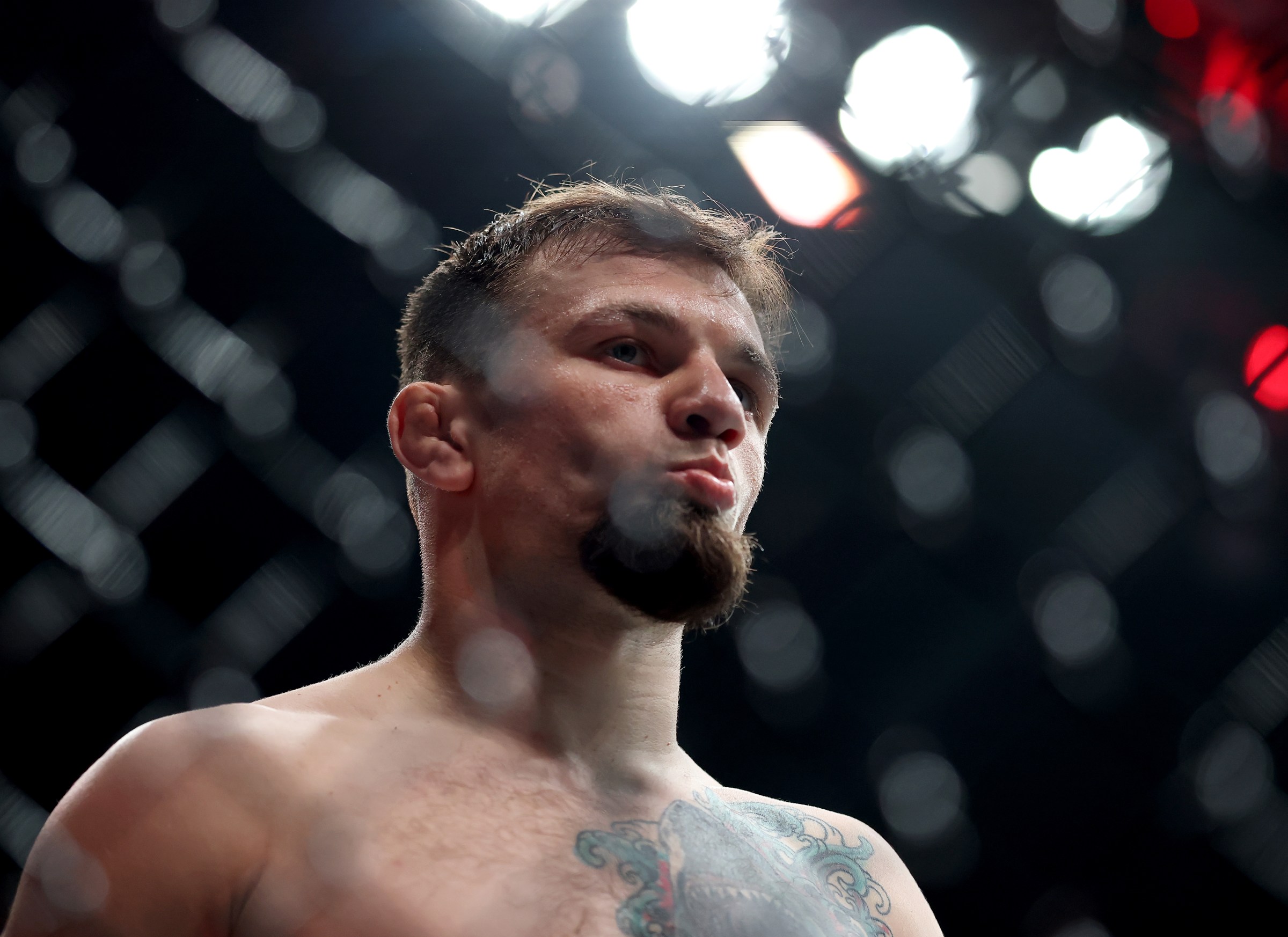 UFC 316: Dvalishvili vs. O’Malley 2