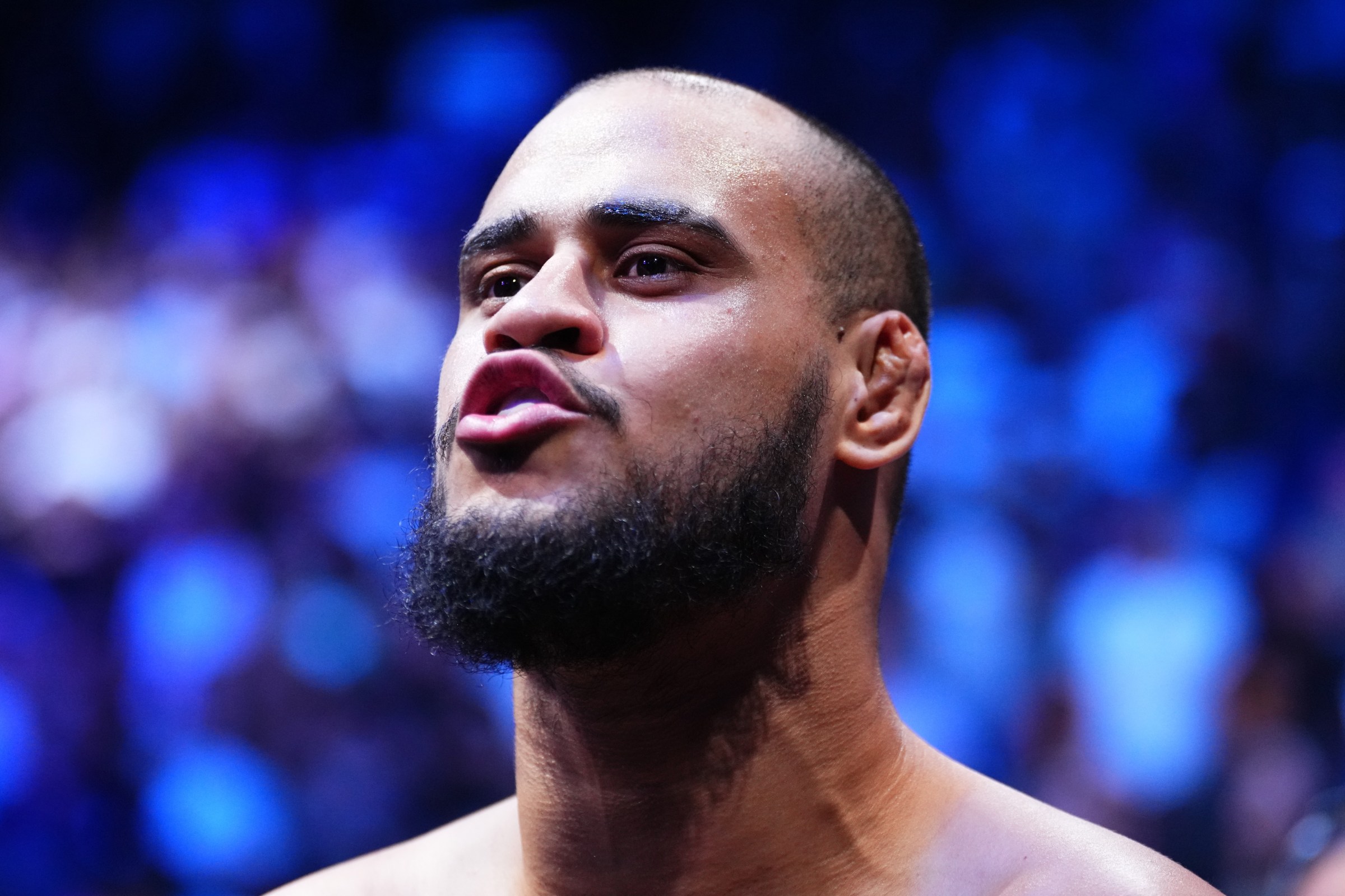 UFC Fight Night: Lewis v Teixeira