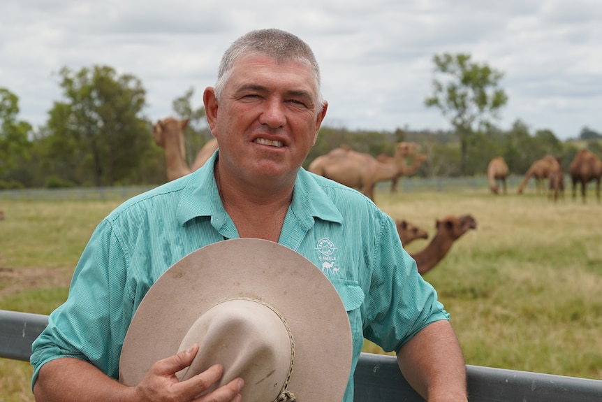 A farmer with camels in the background