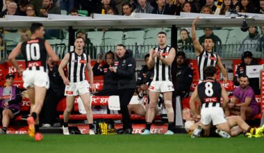 Substitute rule change; pseudo substitute cal twomey; Kane Cornes reaction