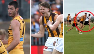 Hawthorn Hawks training match simulation report, Calsher Dear stars after Will Day injury, Josh Ward vocal, Ned Reeves and Lloyd Meek forward
