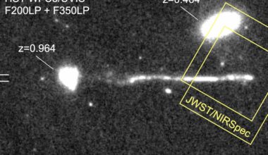 New fear unlocked: runaway black holes