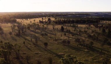 Image: Pacific Partnerships