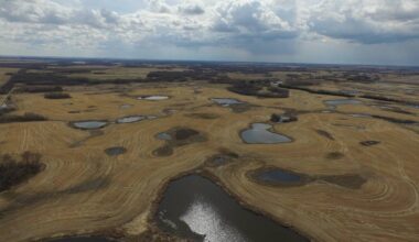 A photo taken by a drone showing the low areas on some land filled with water prior to drainage work being done.