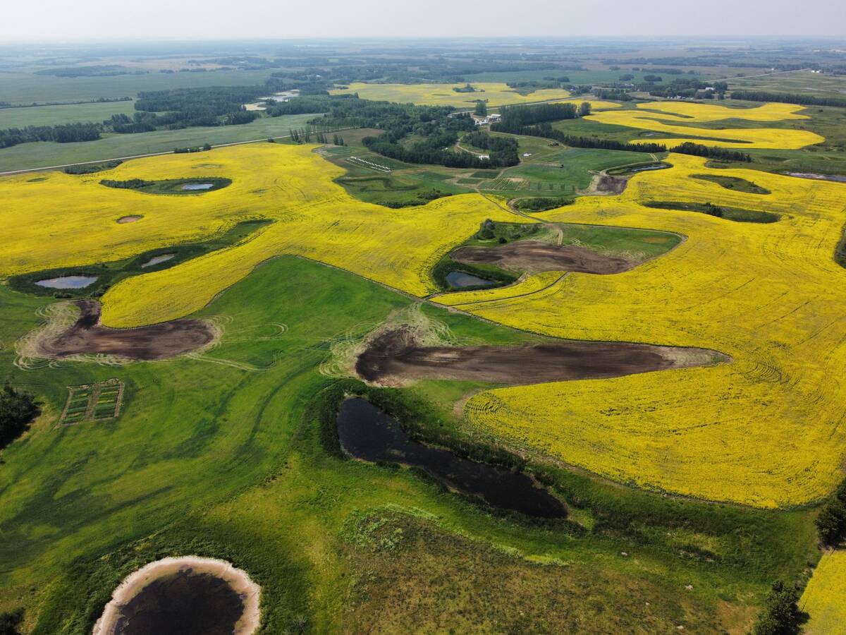 A drone photo showing a piece of land mid crop following water drainage work.