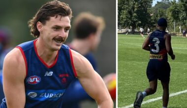 Melbourne Demons Track Watch, pre-season training insights and analysis, injury updates, Latrelle Pickett, Jake Lever stars in defence, Christian Salem hamstring, latest news