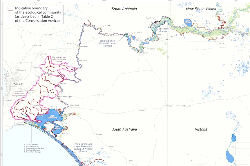 Map highlighting Darling River in NSW, River Murray in SA, Coorong, Lakes Alexandrina