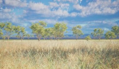 Wooderson solar battery