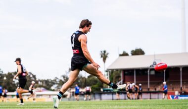 Mead embracing new role and fresh voices