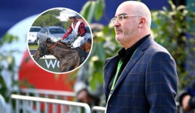 New Zealand Warriors supremo Cameron George was ecstatic when Ben Thompson steered Dream Roca (inset) to win the 2YO Karaka Millions 2YO last Saturday. Pictures: Getty Images, Race Images