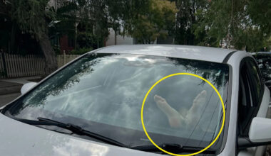 Little-known $469 fine for common car passenger act: 'Never do this'