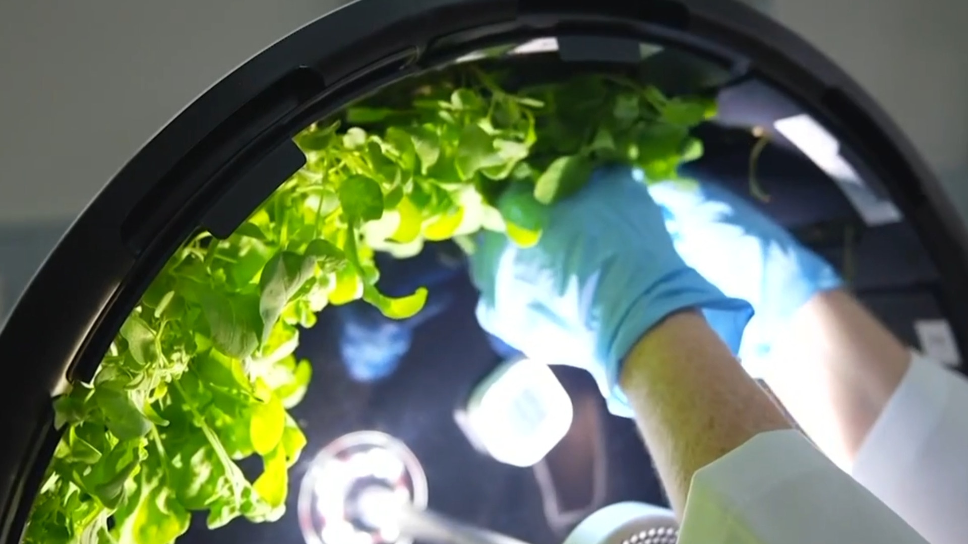 Australian scientists prepare for NASA’s 2030 moon settlement with AI space farms