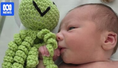 Crochet octopus toys bring tactile comfort to premature babies at Western Sydney NICUs