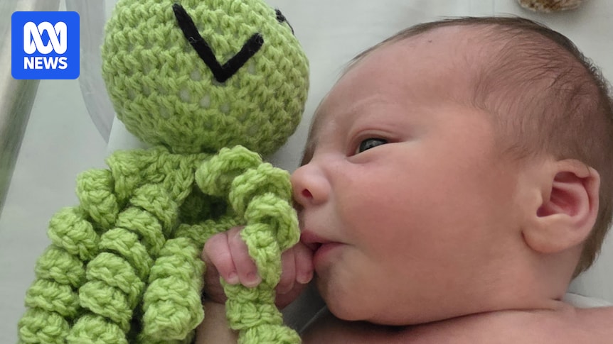 Crochet octopus toys bring tactile comfort to premature babies at Western Sydney NICUs