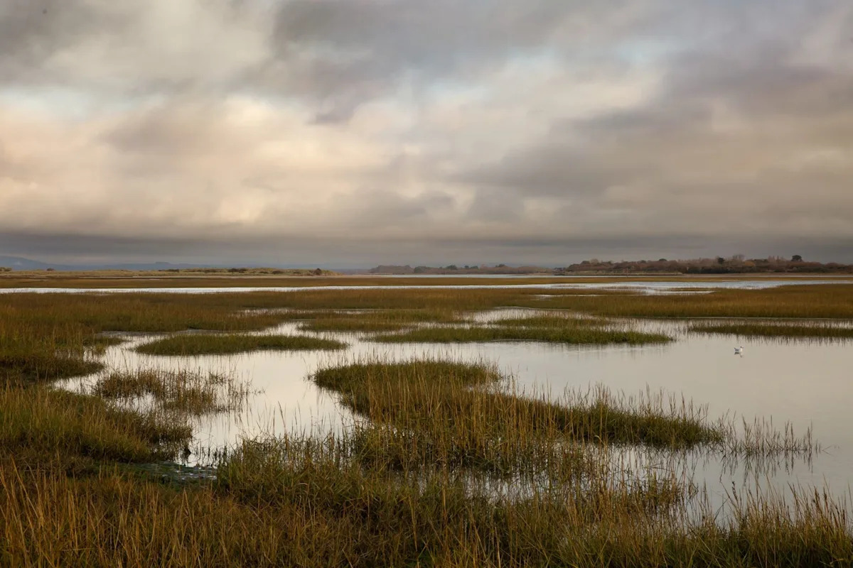 Yahoo lifestyle home