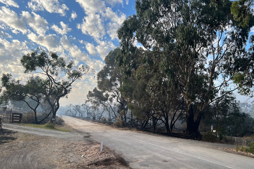 A bushfire ground south of Adelaide.