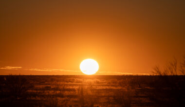 Australia records first 50°C in four years