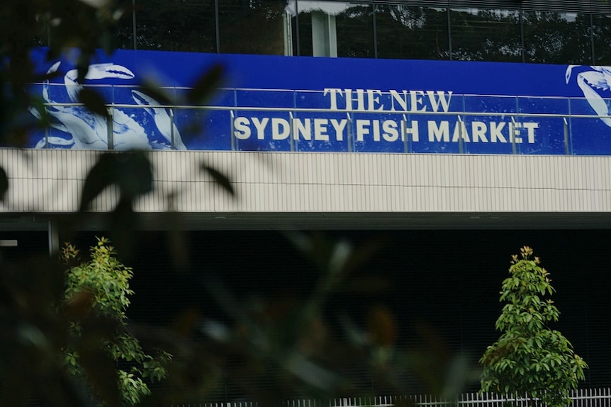 A brightly coloured sign on a building reading 'the new sydney fish market'