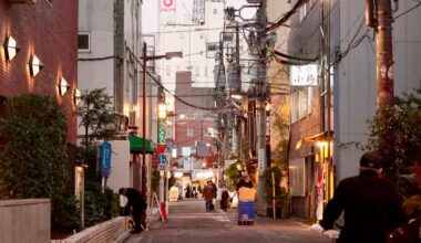 Chinese visitor decline weighs on Japan's duty-free retail sector - news.cgtn.com