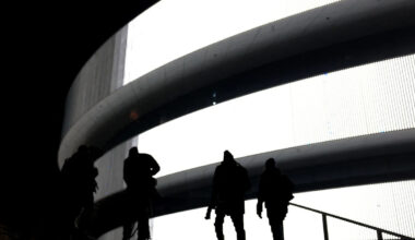 Download app from the App Store