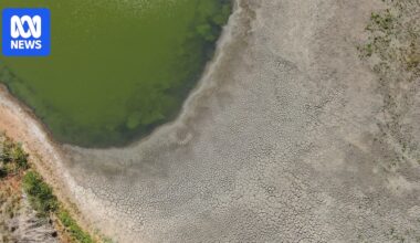 Outback NSW lake home to hundreds of turtles set to run dry in 130-year first
